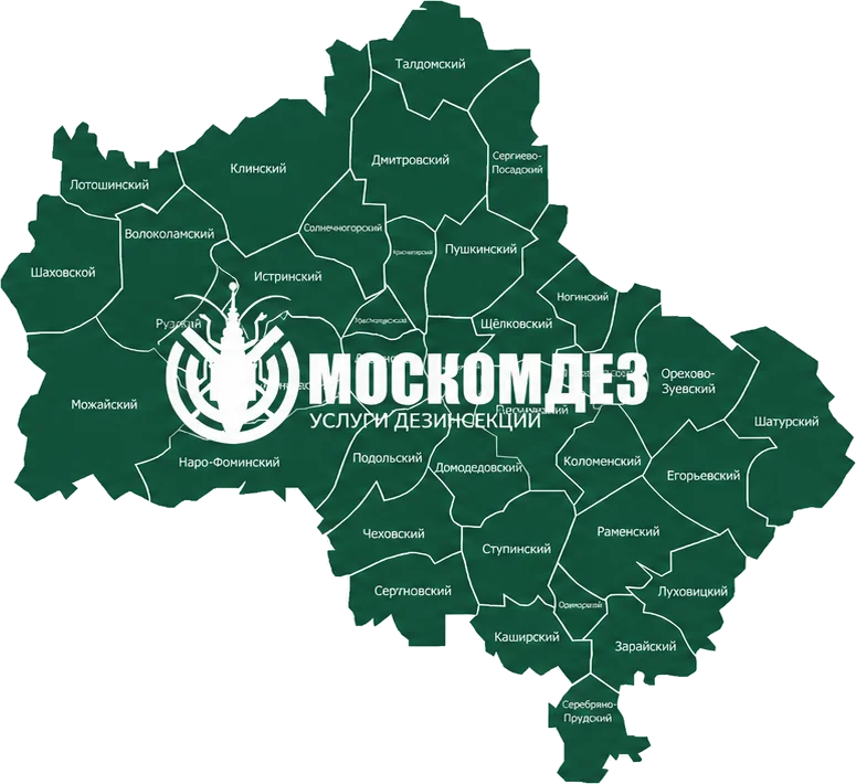 Карта выезда: Рублёво и Московская область